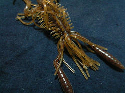 NEC_0034.JPG