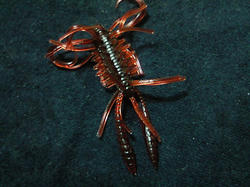 NEC_0033.JPG