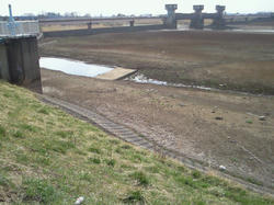NEC_0054.JPG