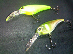 200804022241000.jpg