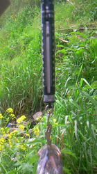 NEC_0410.JPG