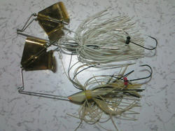 NEC_0561.JPG