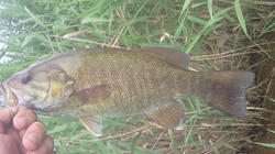 NEC_0806.JPG