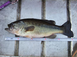 DSCF0722.JPG