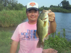 201008151535000.jpg