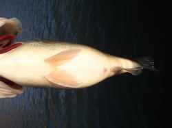 PC262677.JPG
