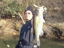 201102271510000.jpg