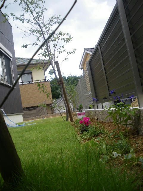 IMGP3618.JPG