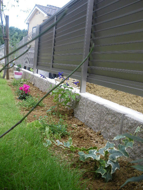 IMGP3619.JPG