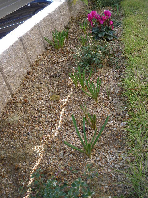 IMGP3843.JPG
