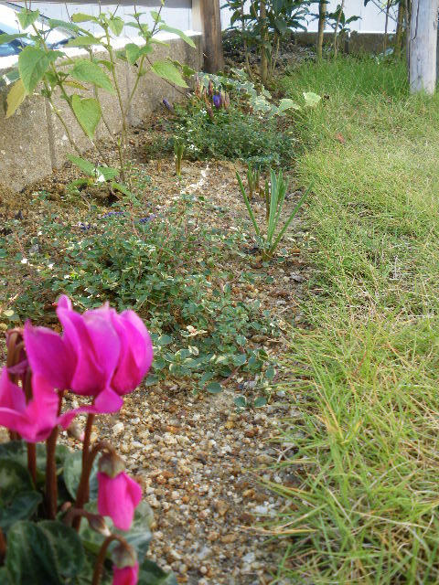 IMGP3844.JPG