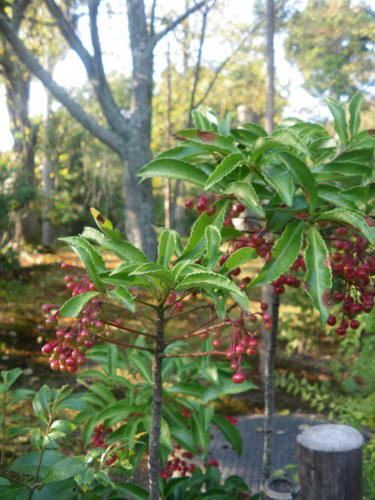 bc7e72f2.JPG