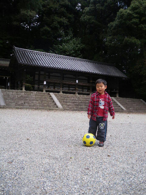 IMGP3939.JPG