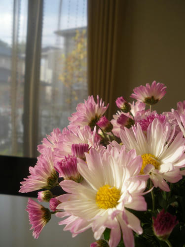 3a88bb73.JPG
