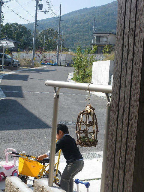 IMGP3988.JPG