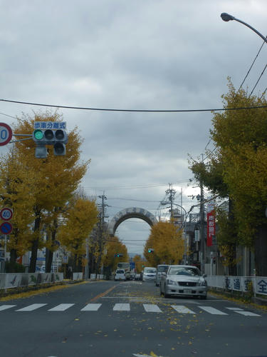 61d835f2.JPG