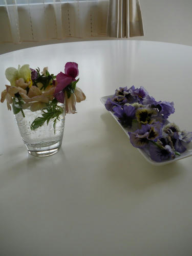0fa74290.JPG
