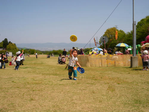 459862ff.JPG