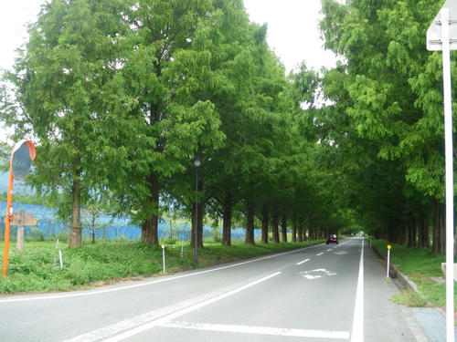 4675427c.JPG