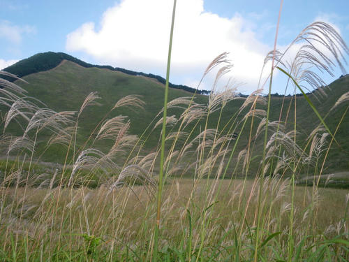 b4a8b073.JPG