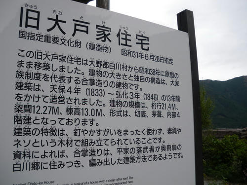 f45c9869.JPG