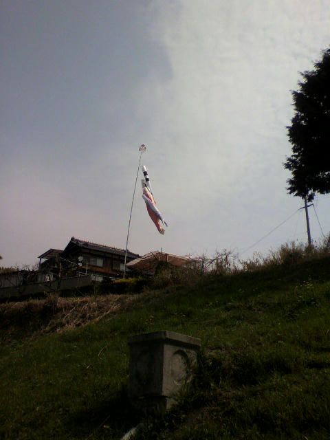 2011041110020000.jpg