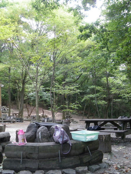 c755c3a7.JPG