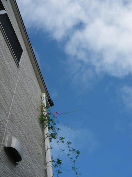e3291672.JPG