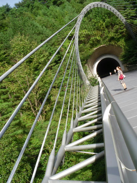 d7621cd1.JPG