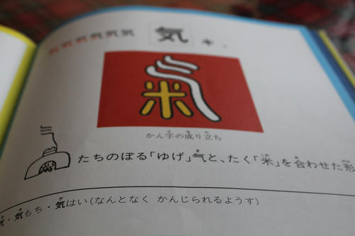 42537529.jpg