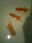 071025_194446.jpg