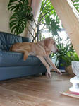 DSCN1119.JPG
