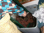 DSCN1106.JPG