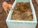 DSCN1149.jpg