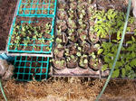 DSCN1161.JPG