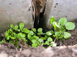 DSCN1183.JPG