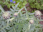 DSCN1198.JPG