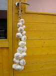 DSCN1199.JPG