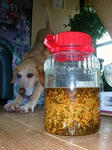 DSCN1239.JPG