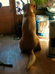 DSCN1256.JPG