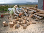 DSCN1262.JPG
