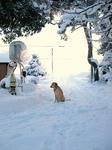 DSCN1332.JPG