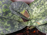 DSCN1375.JPG