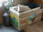 DSCN1379.JPG