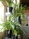 DSCN1382.JPG