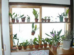 DSCN1392.JPG
