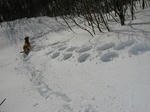 DSCN1439.JPG