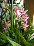 DSCN1460.JPG
