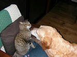 DSCN1467.JPG
