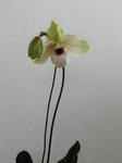 DSCN1476.JPG